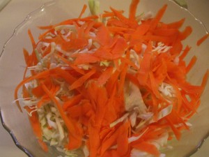 MDCole-Slaw-004 MDCole-Slaw-004