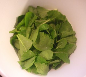 Spinach Salad 010