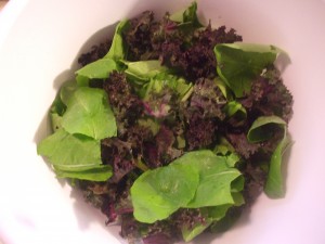 Spinach Salad 011