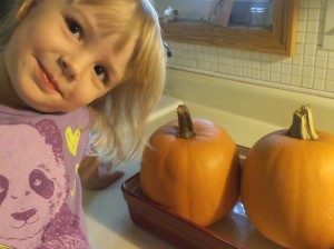 Pumpkin Whole 004