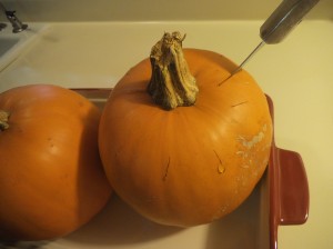Pumpkin Whole 011