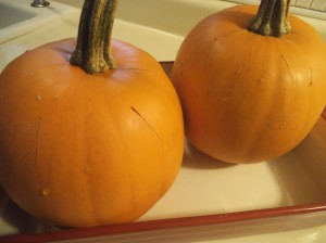Pumpkin Whole 012