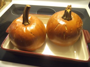 Pumpkin Whole 017