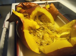 Pumpkin Whole 020