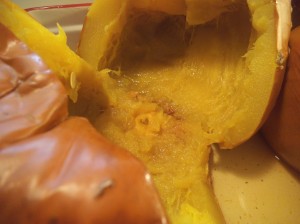 Pumpkin Whole 025