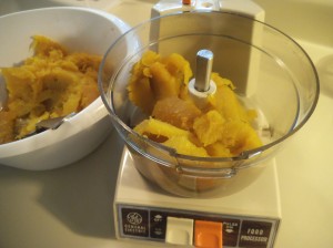 Pumpkin Whole 032