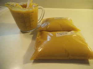Pumpkin Whole 039