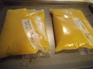 Pumpkin Whole 040