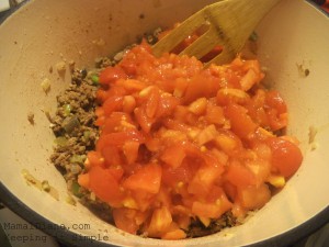 Lasagna Casserole 017