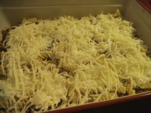 Lasagna Casserole 029