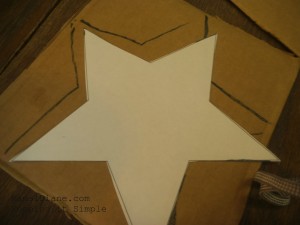 Easy Kid Craft Star Bird Feeder 007