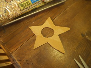 Easy Kid Craft Star Bird Feeder 010