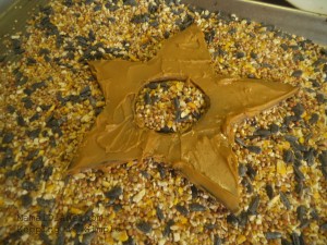 Easy Kid Craft Star Bird Feeder 018