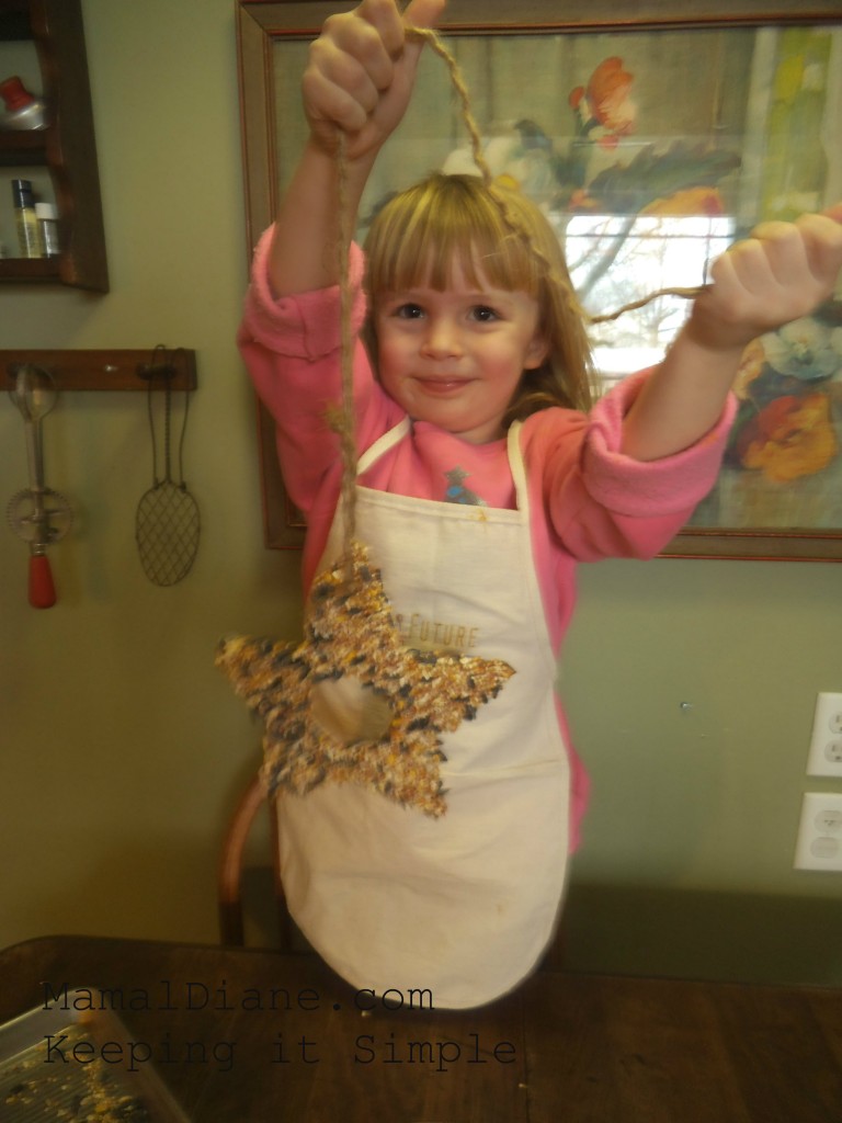 Easy Kid Craft Star Bird Feeder 020