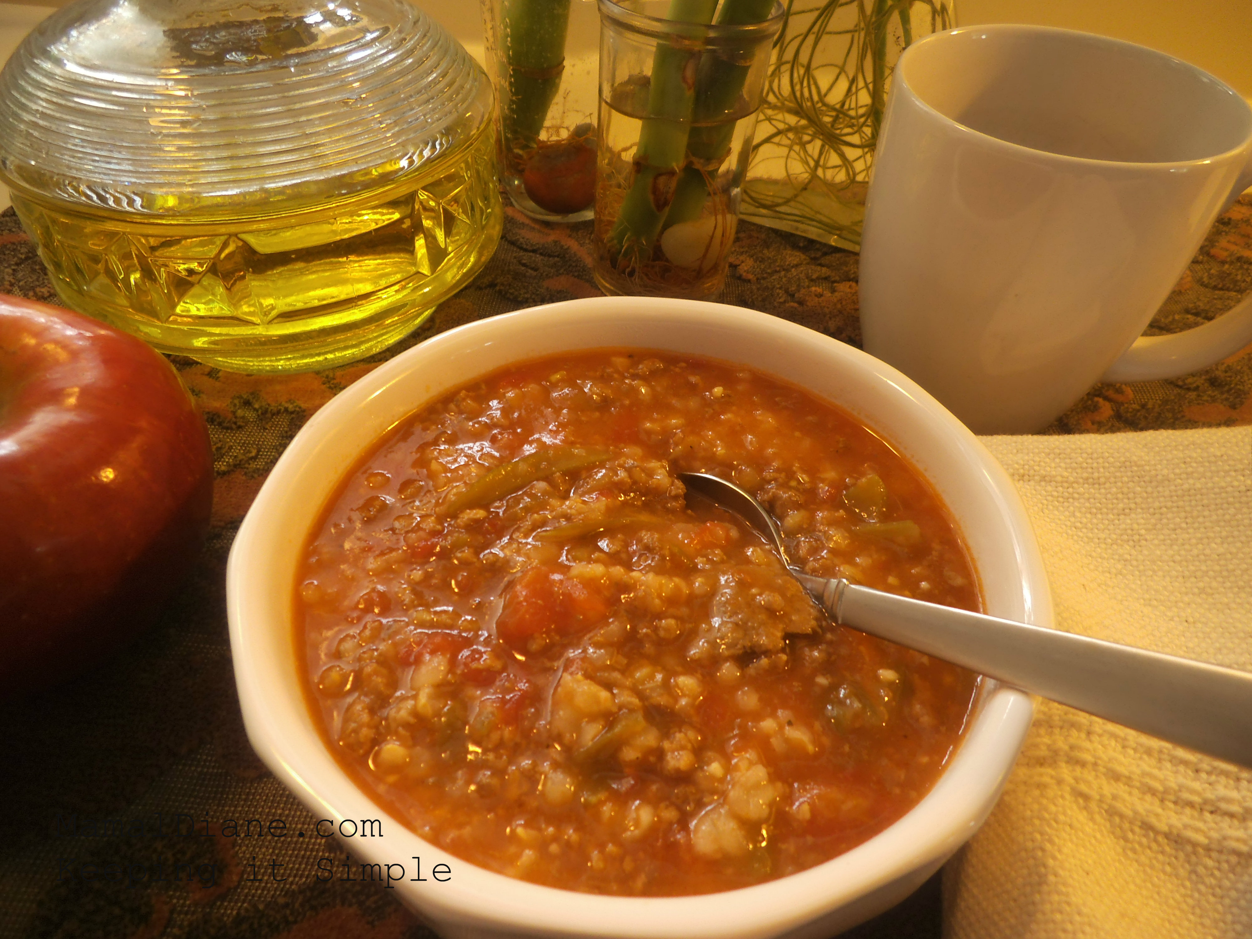 Ground Beef Soup Mamal Diane