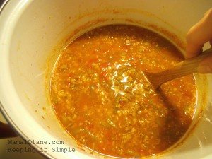 Ground Beef Soup 5